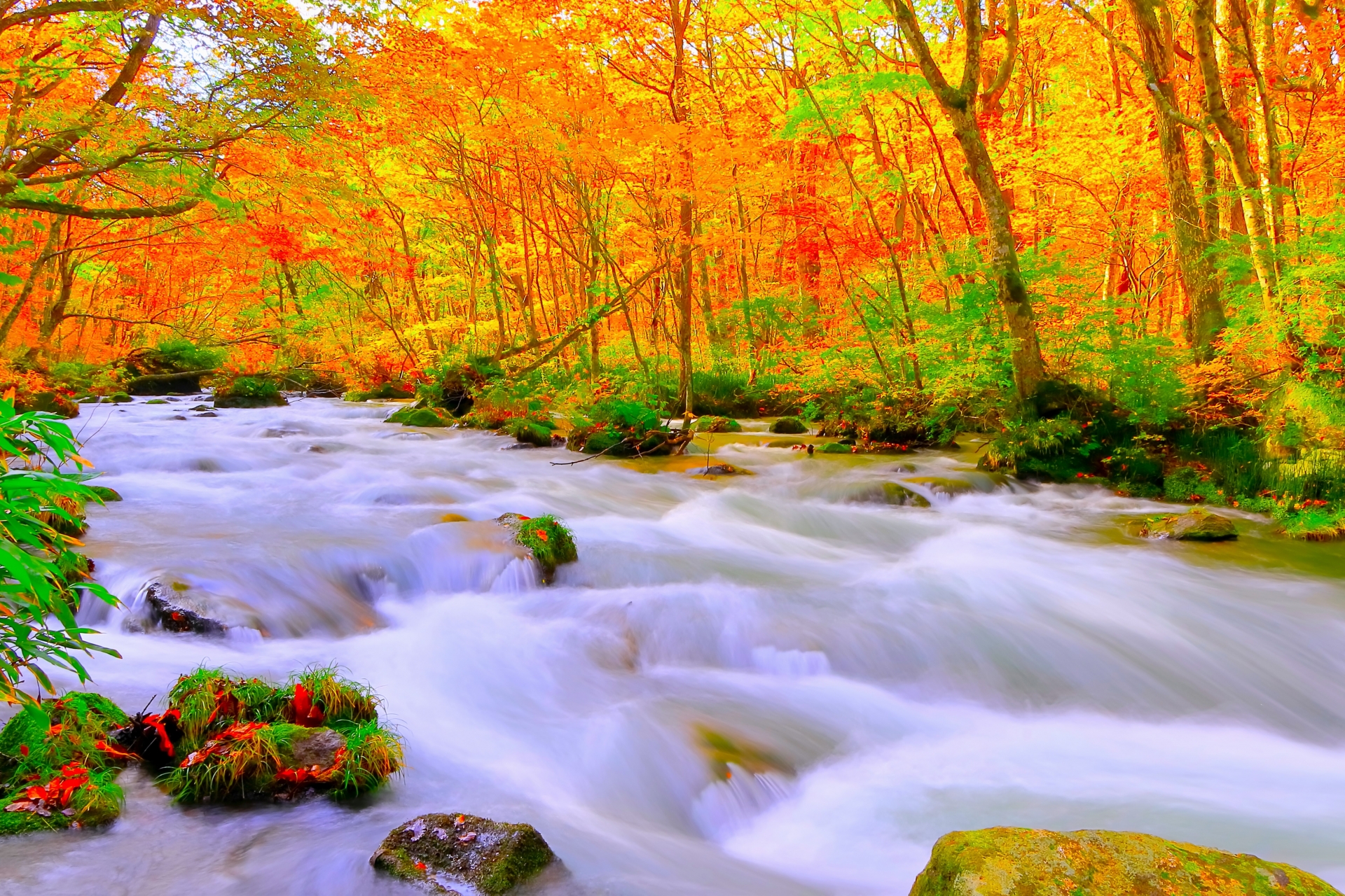 奥入瀬渓流の紅葉